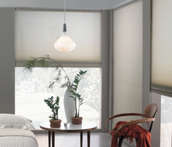 cellular shades in Minneapolis house